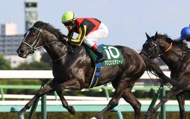 【競馬予想】ヴィクトリアマイル、本命視されるアスコリピチェーノが抱える懸念