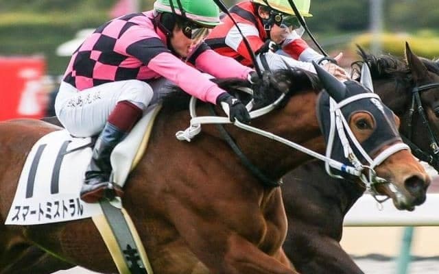 母は重賞4勝馬 3戦全て2着のスマートミストラルが初V狙う