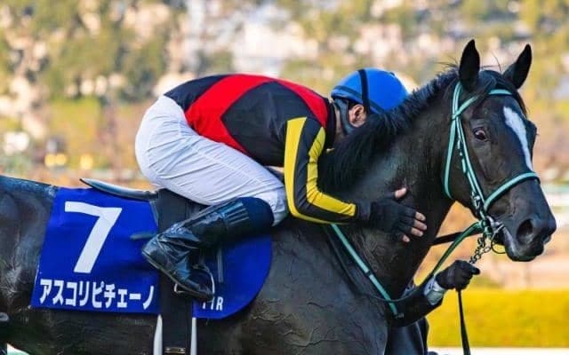 【ヴィクトリアM枠順確定】アスコリピチェーノは8枠17番、ステレンボッシュは1枠2番