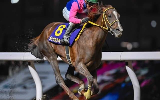 【平安S想定馬・騎手】メイショウハリオ、ブライアンセンスなど18頭