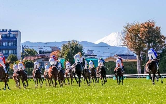 BSイレブン賞の「11番」＆テレ玉杯の「3番」 チャンネル番号と同じ馬番の成績は？