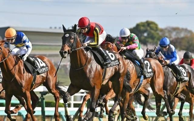 【今日の注目ポイント】新潟大賞典と京都HJの2重賞