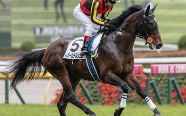  【新潟大賞典予想】過去10年で1番人気0勝と不振 実績上位馬には厳しいレース
