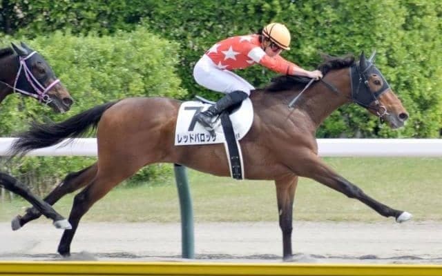  【京都HJ予想】名物「三段跳び」含む18回の障害越え 難コースを制すには先行力も欲しい