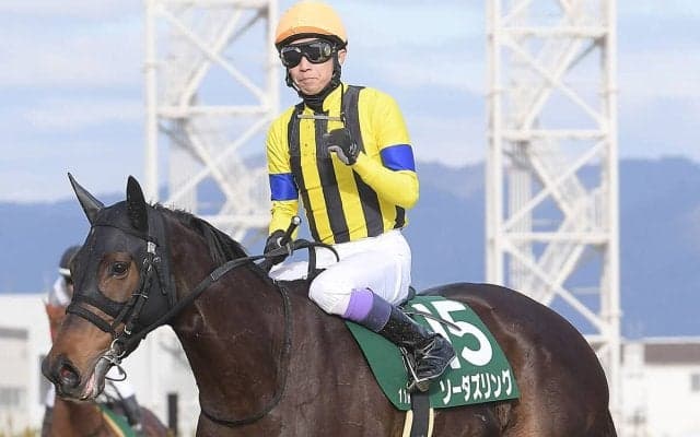 【競馬予想】ヴィクトリアマイルで狙うべき「マイルＧⅠに強い血統」は？　コース適正も踏まえ２頭に期待