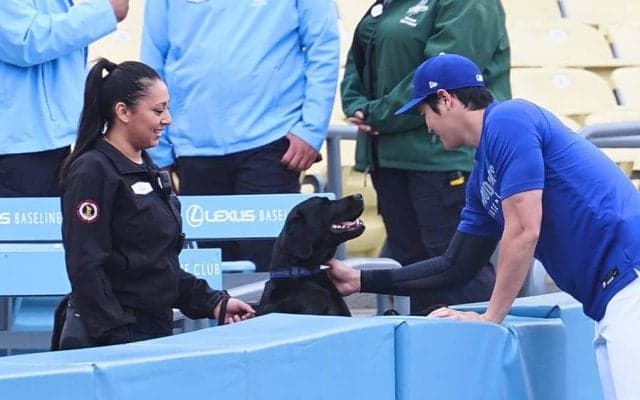 大谷翔平、ワンちゃんに粋な贈り物　女性警備員も感激「すごく喜んでました」