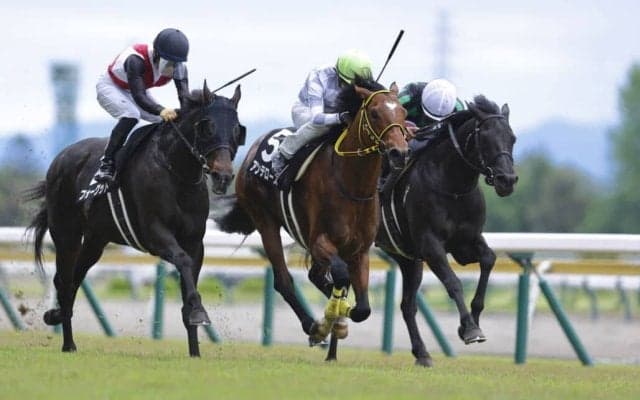 【尖閣湾特別】アンテロースがしぶとい粘り腰を発揮…待望の2勝目をマーク