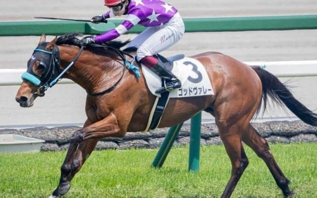 馬主は福岡ソフトバンクホークス・柳田悠岐選手 ゴッドヴァレーが2勝目なるか