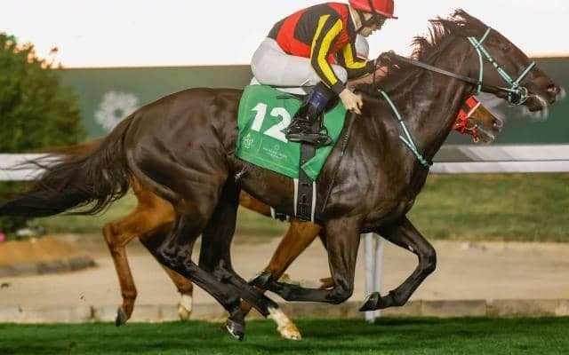 【AI予想・ヴィクトリアM】コース替わりで先週の傾向は通用せず!? 人工知能の本命は牝馬トップクラスの能力馬