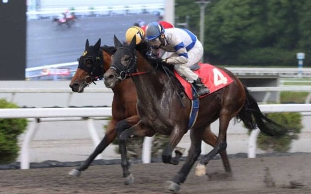 【高知・山桃特別】ヤマノアシオトが力強く差し切り勝ち…赤岡騎手とのコンビで3勝目