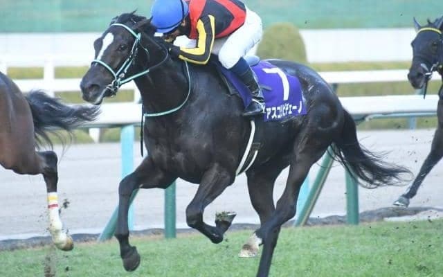 【今日の注目ポイント】春の女王決定戦・ヴィクトリアマイル