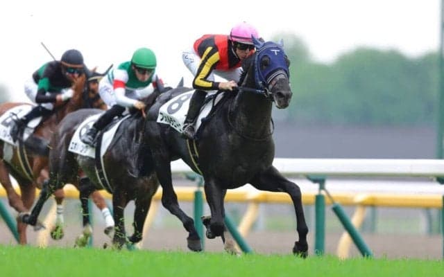 【東京8R】単勝1.3倍フォルラニーニが人気に応える