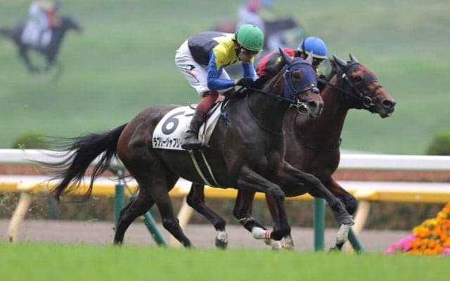 【東京7R】ラブリージャブリーがデビュー2連勝