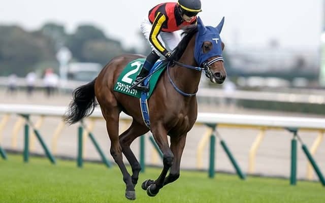 【オークス】主要な記録を一挙紹介 全85回の歴史で最多優勝騎手・調教師・馬主とは？