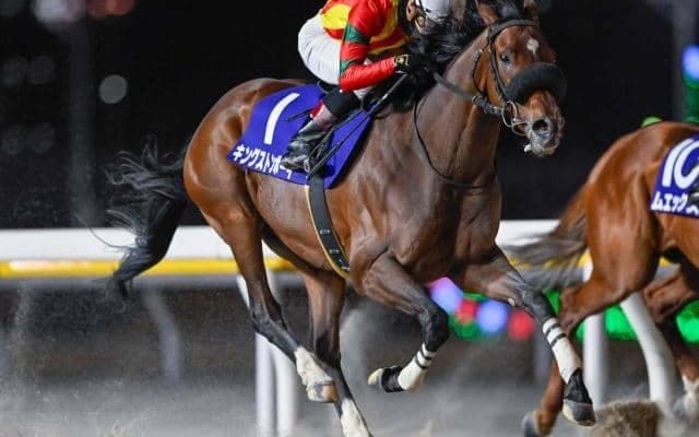 【大井記念枠順】重賞3連勝中のキングストンボーイは7枠12番