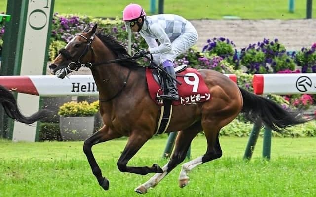 【日本ダービー出走馬決定順】フルゲート18頭に対し20頭が登録 2/3抽選が発生