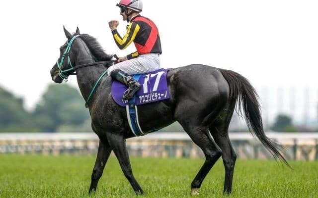 ダイワメジャー産駒の秀でたスピード能力に大舞台向きの底力を与える「サドラーズウェルズ」の血