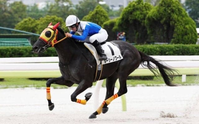 【TCK】ルーキー杉山海波騎手、40戦目で待望の初勝利