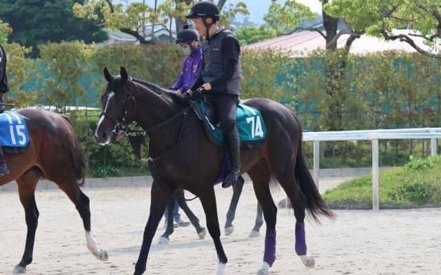 ワンダフルボンドなど、先週のゲート試験/栗東トレセンニュース