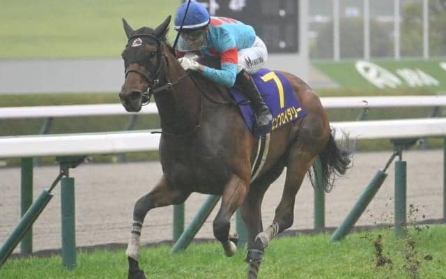 【オークス予想オッズ】エンブロイダリーが予想1番人気