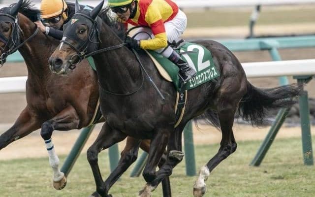 【オークス】2着4回の戸崎圭太騎手 重賞馬エリカエクスプレスで悲願の初制覇なるか