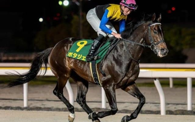 22年大阪杯覇者ポタジェが引退 イーストスタッドで種牡馬入り予定