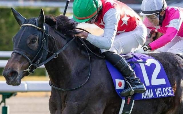 【オークス】GI・2勝目なるか 阪神JF覇者のアルマヴェローチェが挑む