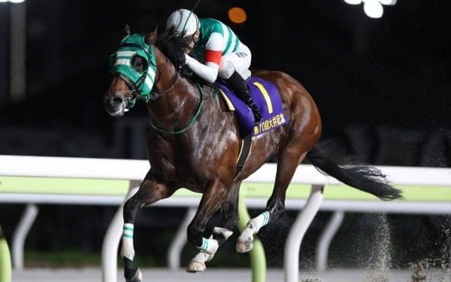 【大井・大井記念結果】ライトウォーリアが貫録の逃げ切りV！重賞5勝目を挙げる