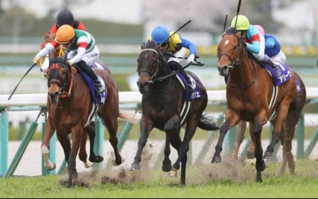 ポタジェの競走馬登録抹消…種牡馬入り