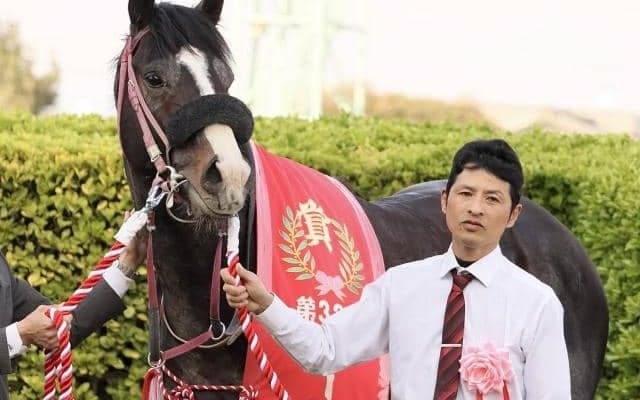 【平安S】16年ぶりの“記録”に挑戦 ブライアンセンスが重賞連勝へ