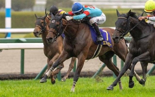 【オークス枠順確定】エンブロイダリーは5枠9番、アルマヴェローチェは1枠1番