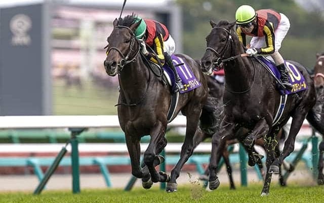 シーザリオのオークス勝利から20年 3頭の産駒の仔がそれぞれダービーへ