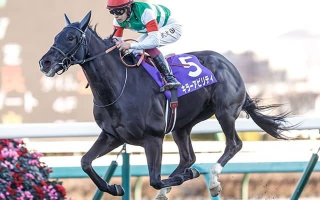 半兄はインドで種牡馬入り予定のキラーアビリティ キラーチューンがデビューV狙う