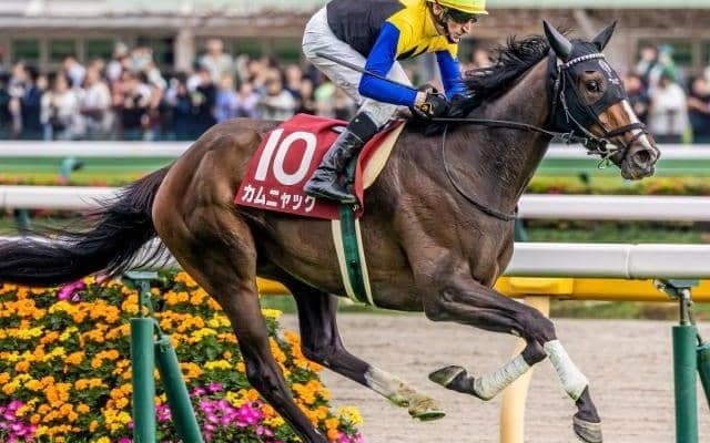 【オークス】A.シュタルケ騎手がJRA・GI初制覇なるか レース史上最年長Vも