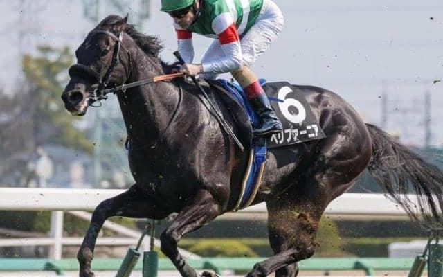 エフフォーリアのきょうだいが土曜東京に集結 3勝の固め打ちなるか