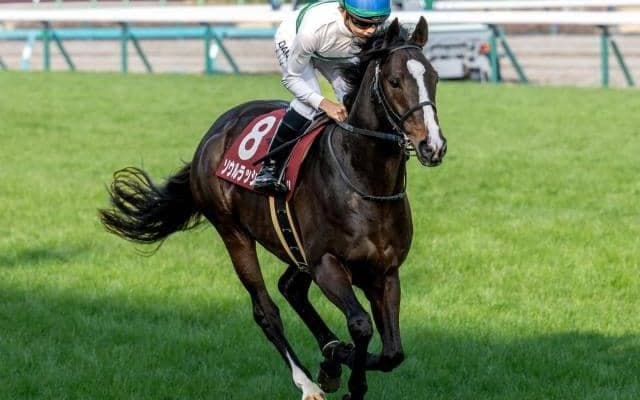 【安田記念想定馬・騎手】ソウルラッシュ、ジャンタルマンタルなど17頭