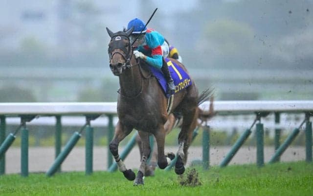 【オークス】エンブロイダリーは487kg…出走馬の調教後の馬体重