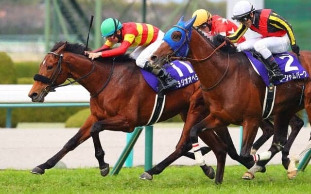 べラジオオペラがファン投票1位…宝塚記念ファン投票・第2回中間発表