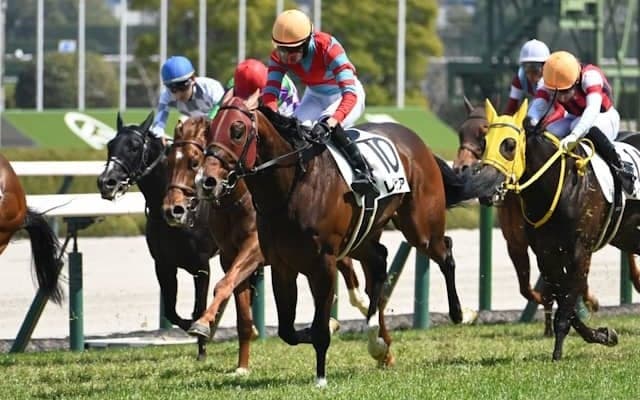 【葵S想定馬・騎手】レイピア、アメリカンビキニなど21頭