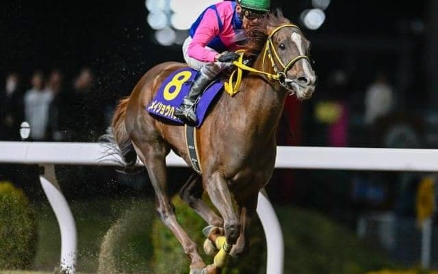 【今日の注目ポイント】帝王賞の前哨戦・平安Sで実力馬が激突