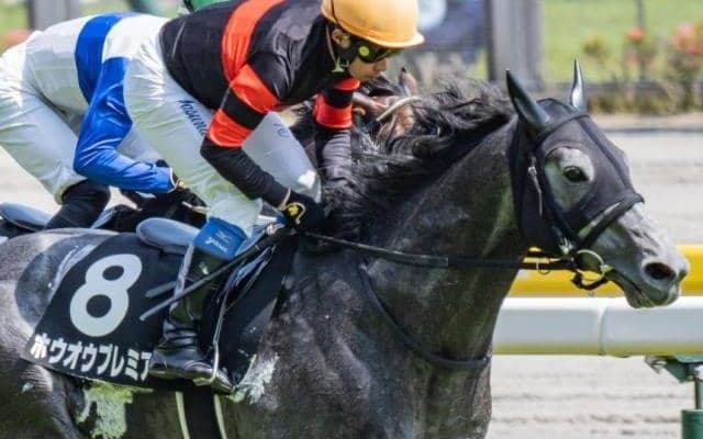 2.7億円の良血馬 ホウオウプレミアが約2年2カ月ぶりの勝利なるか