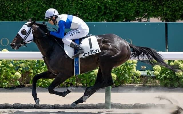 【平安S予想】帝王賞への重要なステップレース ペースが落ち着きやすく先行できるかがカギに