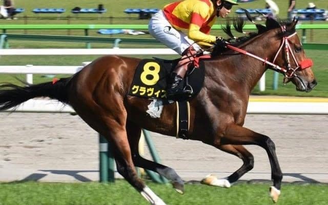 兄姉にリアルスティール＆ラヴズオンリーユー 矢作芳人厩舎ゆかりの超良血グラヴィスが3勝目狙う