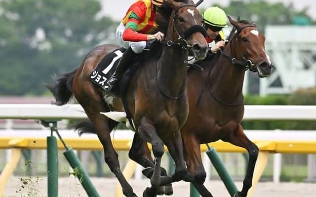 【カーネーションC結果】ジョスランが突き抜け快勝