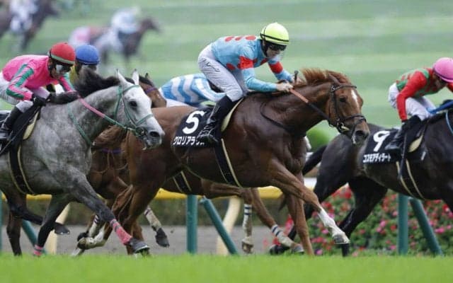 【フリーウェイS】良血グロリアラウスがオープン入り