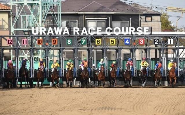 浦和競馬の「2歳新馬戦」に攻略の糸口は？ 種牡馬や厩舎、能試のデータから徹底分析