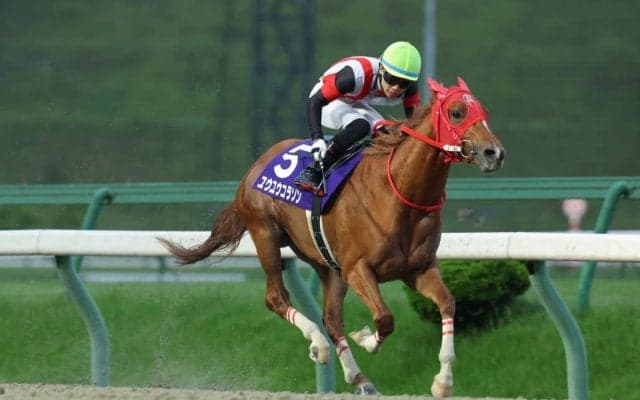 【盛岡・イーハトーブマイル】ユウユウコラソン、佐々木志音の手綱で重賞制覇…次は東北優駿視野