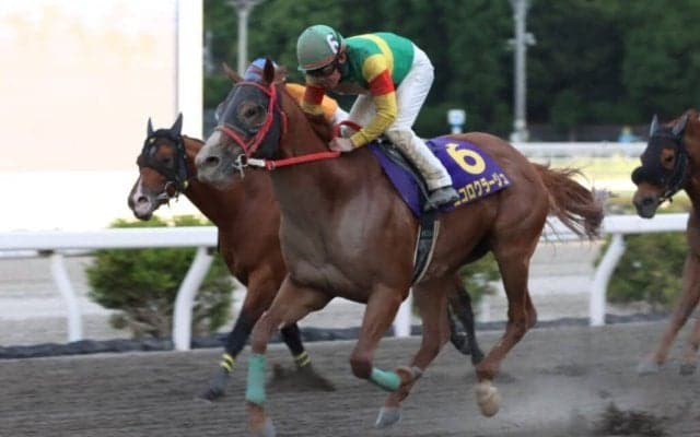 【高知・福永洋一記念】小牧太「誇りに思います」エコロクラージュが快勝