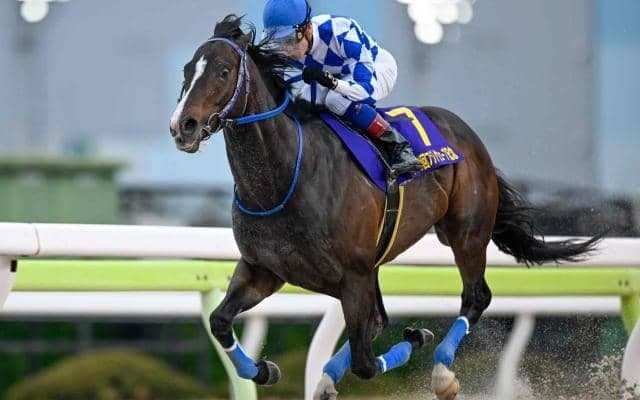 【浦和・プラチナC枠順】前々走でフジノウェーブ記念を圧勝したイグザルトは5枠5番