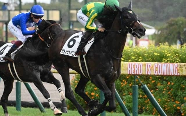 【AI予想・日本ダービー】皐月賞組を軽視するのは禁物！ 人工知能が選ぶ本命候補3頭